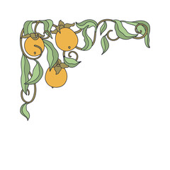 Art nouveau style persimmon branch hand drawn frame. Vintage fruit and leaves border