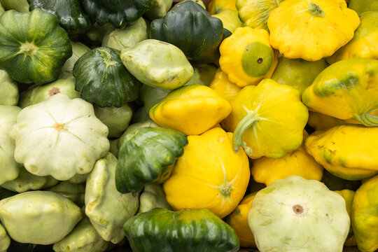 Bright display of fresh pattypan squash varieties