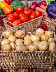 Organic potato vegetable harvest. Potato crop harvest in basket. Harvested potato. Crop harvest. Agriculture and harvesting in farm. Potato crop. Farming harvest, copy space