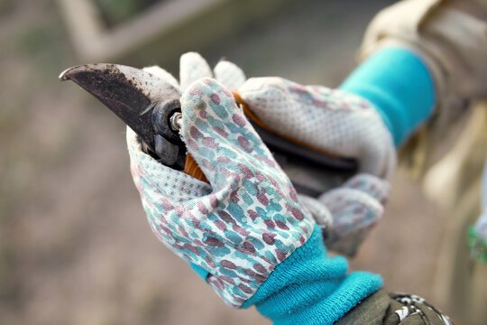 Gardener wearing gloves holding pruning shears