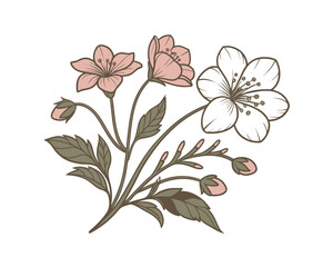 Delicate Floral Arrangement with Pink and White Blossoms and Green Leaves Vector Illustration Springtime Beauty