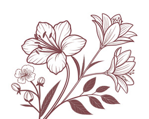 Elegant Floral Illustration with Delicate Lily Blossoms and Cherry Flowers A Detailed Line Art Design for Botanical Themes