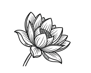 Elegant Lotus Flower Illustration in Black and White for Meditation and Peaceful Design Projects Isolated on White Background