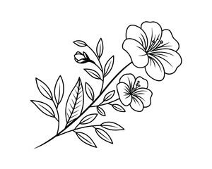 Elegant Floral Branch with Open Blossoms and Delicate Leaves Black and White Design Perfect for Graphic Design
