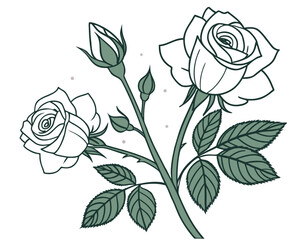 Elegant Rose Illustration with Buds and Leaves for Graphic Design Projects and Floral Themes in Various Creative Works