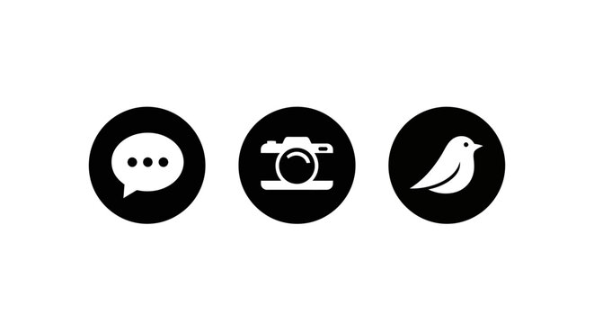 Monochrome social media icons: chat message, camera, bird logo in circular design - Powered by Adobe