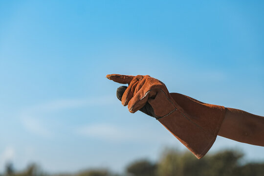 Farmer's hand in glove points amid blue sky backdrop