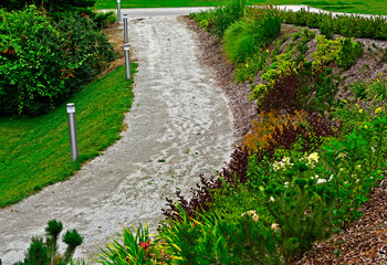 ścieżka przy skarpie, trawy ozdobne i liliowce na skarpie, rozplenice i liliowce (Hemerocallis, Pennisetum ), Pennisetum on the slope in garden  © kateej