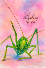 Thinking of you - card.  Green grasshopper. Watercolor style.
