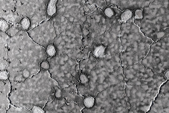 Cracked salt texture in gray scale with abstract pattern