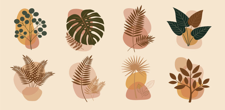 Collection of contemporary botanical art with tropical leaves and abstract shapes in an earthy color palette