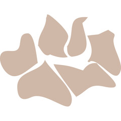 Scattered Beige Organic Shapes Abstract Design with Transparent Background and Clean White Backdrop Minimalist Organic Forms