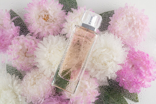 Perfume bottle surrounded by dewy pink and white asters