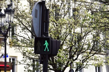 Traffic light for pedestrians with the figure of a walking man, lights green.