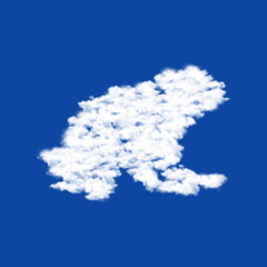 Clouds in the shape of a frog symbol on a transparent background. A symbol consisting of clouds in the center. Illustration on transparent background