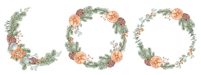Christmas Wreaths, circle frames set. Winter plants and dry orange slices. Hand drawn Botanical Illustration of Fir Branches, Eucalyptus, Pine Cones and Berries isolated on white background. For