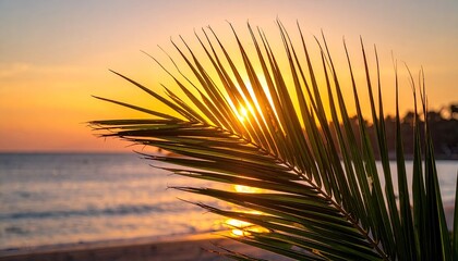 Golden Hour Aerial View of Overwater Villas Casting Long Shadows Over a Turquoise Sea During Sunset