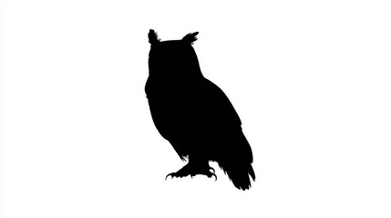 Elegant black owl silhouette with pointed ears, a symbol of wisdom and nature's wild nocturnal creatures