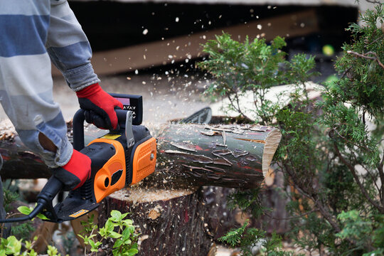 A man cutting fallen tree with an electric chainsaw