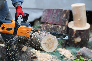 A man cutting fallen tree with an electric chainsaw