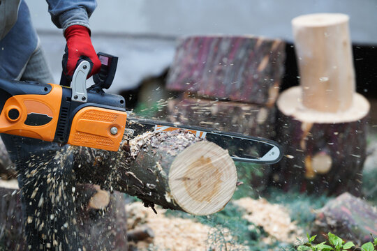 A man cutting fallen tree with an electric chainsaw