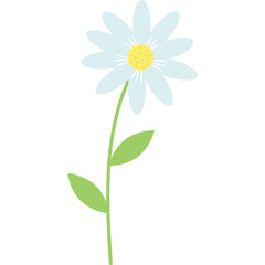 Simple illustration of a white daisy flower with pale blue petals and a yellow center on a transparent background with green leaves and stem