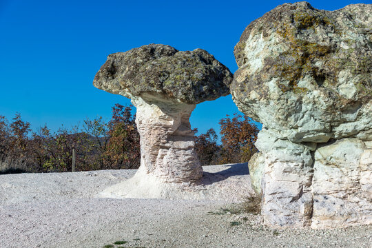 The Stone Mushrooms near Beli plast village, Bulgaria