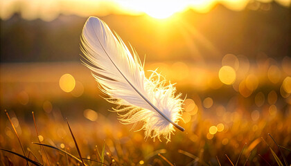 White feather glowing in golden sunlight with soft bokeh