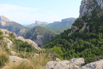 yosemite national park