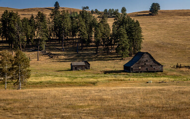 Scenic view of an old wooden barn surrounded by hills and trees.