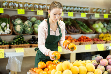 Female vendor in a green apron checks persimmons on a supermarket counter. Vegetable and fruit shop worker puts persimmons in a basket