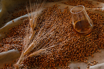 Overhead view of a glass of whiskey surrounded by raw barley grain and wheat ears on burlap. Rustic still life emphasizing natural ingredients