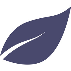 Single Dark Purple Leaf Shape with Smooth Curve and Vein Detail on Transparent Background