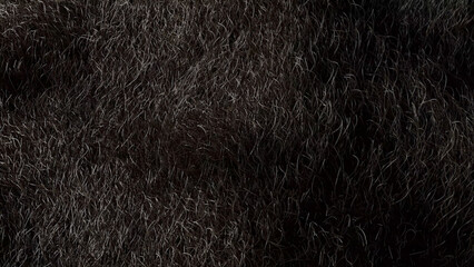 Human body hair texture close up background