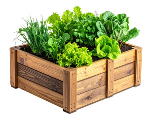 Raised wooden garden bed overflowing with leafy greens