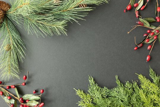 Frame of evergreen boughs and red berries on a black background