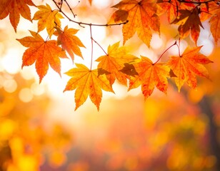 Autumn leaves on a tree branch, vibrant colors, fall season, nature photography.