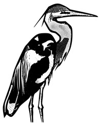 Fototapeta premium Heron stands gracefully in wetland scene