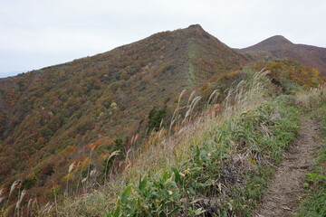 紅葉の山形神室岳、ハマグリ山への登山道