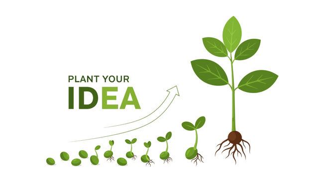 Cultivating Growth From Seeds to Success - Nurturing Your Idea