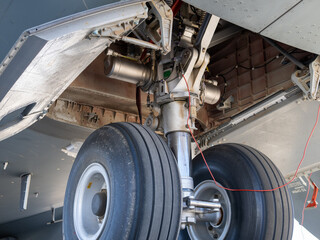Detailed view of twin-wheel main landing gear assembly with hydraulic struts and landing gear bay components