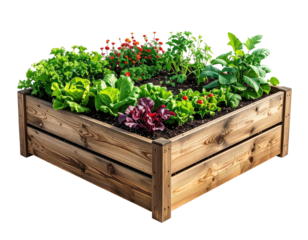 Raised garden bed with greens and red blooms