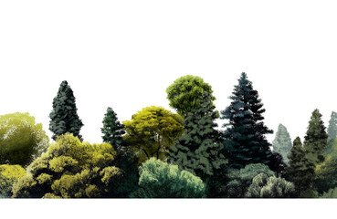 Fototapeta premium A dense forest of various green trees and bushes isolated on transparent background