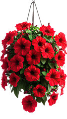 Hanging red petunia basket; green leaves