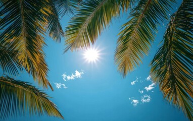 Fototapeta premium Bright sun shining through green palm tree leaves on a clear blue sky with scattered white clouds