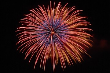 Vibrant Fireworks Display Against a Dark Night Sky