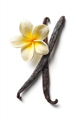 Vanilla Beans And Plumeria Flower On White Background