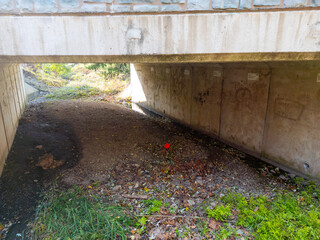 A small dried up creek and bridge during fall. 