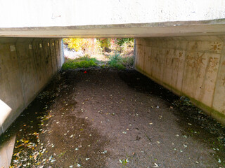 A small dried up creek and bridge during fall. 