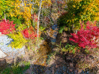 A small dried up creek and bridge during fall. 